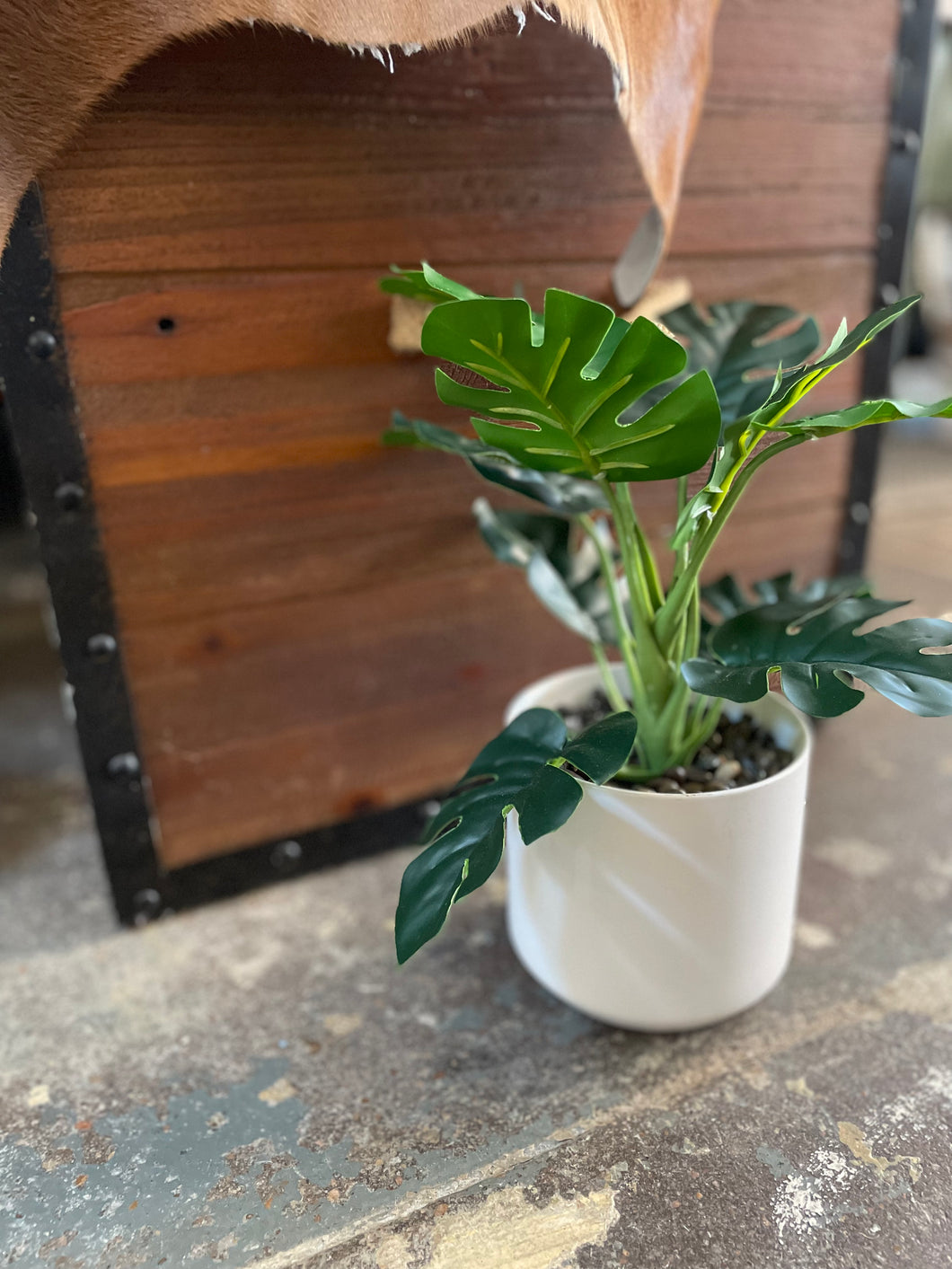 Faux Philodendron In White Pot