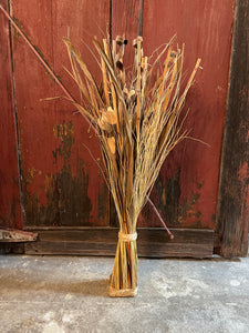 Tall Dried Reed Bunch