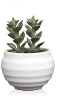 Load image into Gallery viewer, Mini Potted Succulents