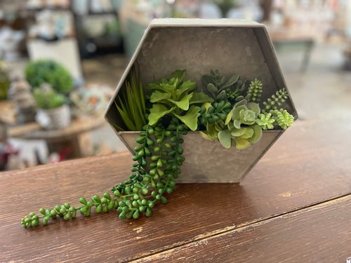 Hexagon Metal Succulent Planter