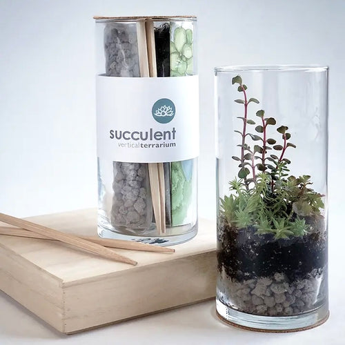 Vertical Succulent Terrarium