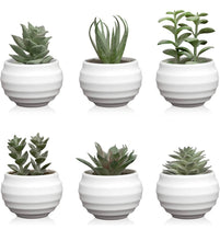 Load image into Gallery viewer, Mini Potted Succulents
