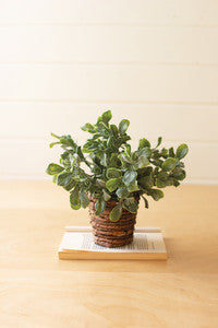 Artificial Plant in Banana Leaf Basket