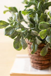 Artificial Plant in Banana Leaf Basket