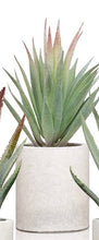 Load image into Gallery viewer, Cement Succulent Planter