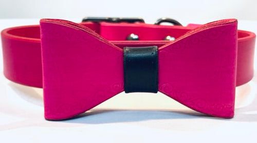 Pink Bow & Collar - Black & White Interiors