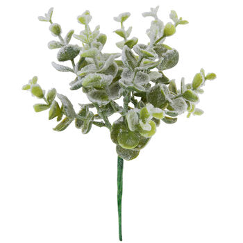 Bushy Frosted Eucalyptus Pick
