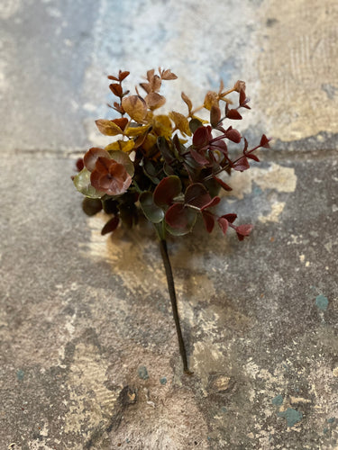 Fall Eucalyptus Pick