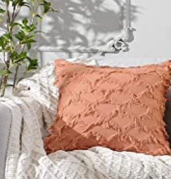 Blush Fringe Pillow