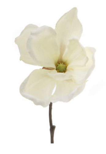 Magnolia Pick