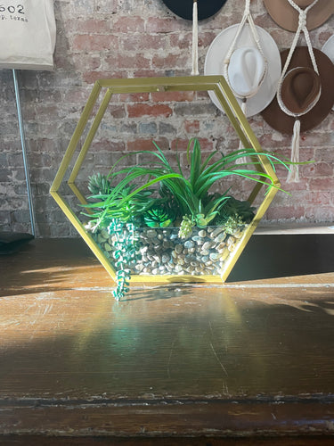 Gold Succulent Hex Planter