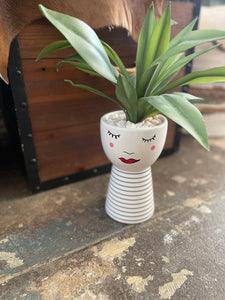 Pretty Face Potted Plant