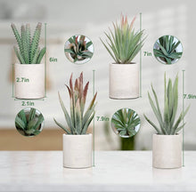 Load image into Gallery viewer, Cement Succulent Planter