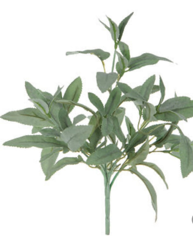 Sage Spray