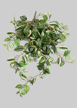 Load image into Gallery viewer, Artificial Variegated Wandering Jew