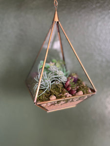 Terrarium Prism Succulent Planter