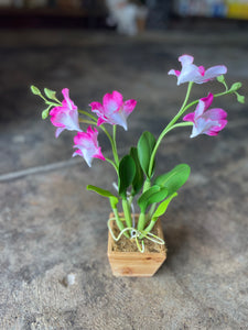 Pink & White Orchid in Wood-Small