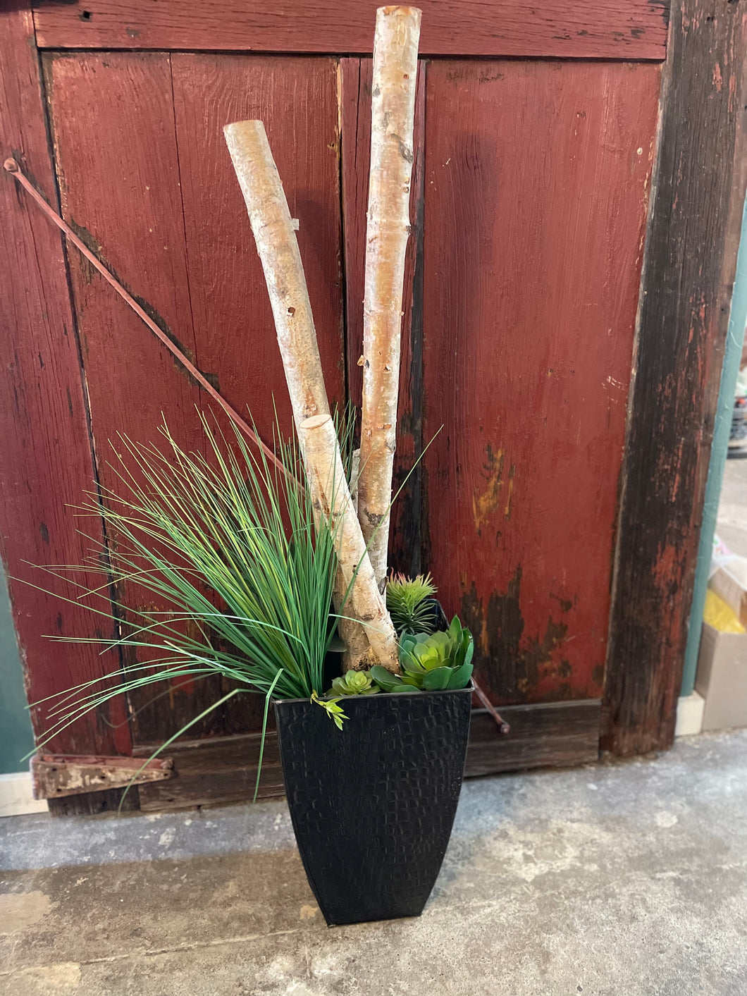 XL Succulent & Birch Planter