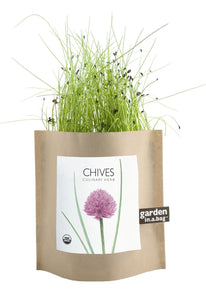 Chive In A Bag - Black & White Interiors
