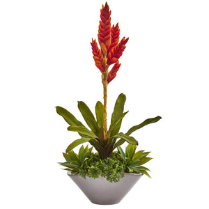Bromeliad And Agave Plant In Gray Planter