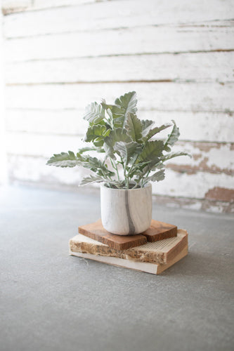 Artificial Plant In A Marble Pot