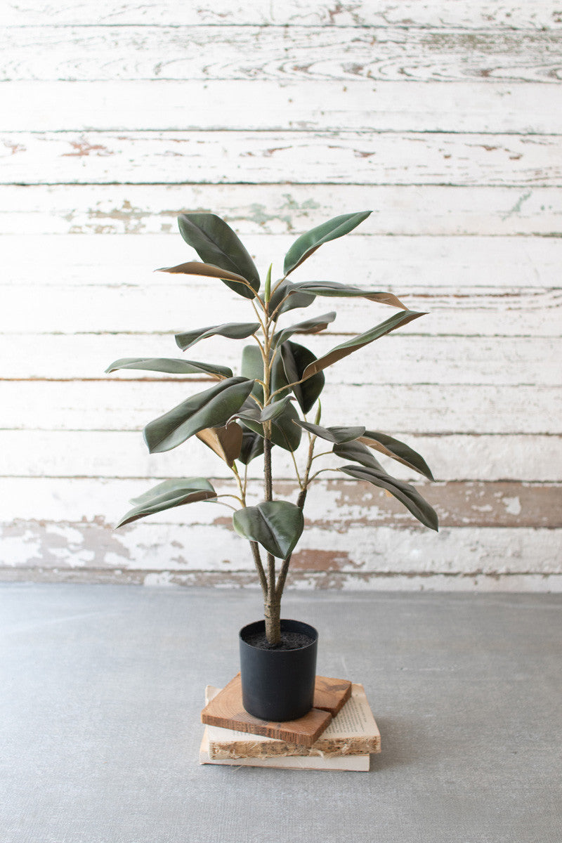 potted magnolia plant Kalalou Cyf1275 Artificial Potted Magnolia