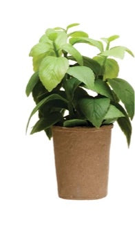 Faux Herb in Paper Pot