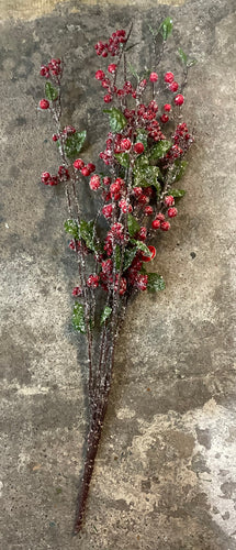 Frosted Berry Spray