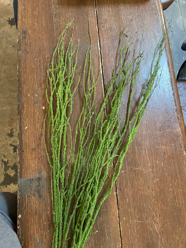 Moss Flocked Stem Bundle