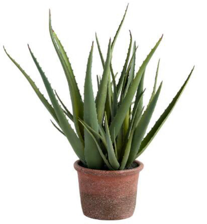 Artificial Aloe In Terracotta Pot