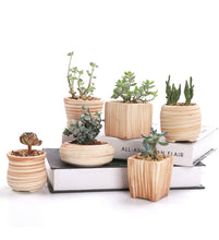 Load image into Gallery viewer, Ceramic Wood Pattern Succulent Planters