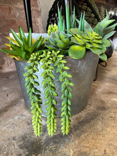 Succulent Mix in Metal Half Bucket