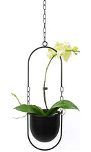Load image into Gallery viewer, Black Oval Hoop Planter