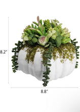Load image into Gallery viewer, Succulent Pumpkin Planter