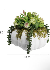 Succulent Pumpkin Planter