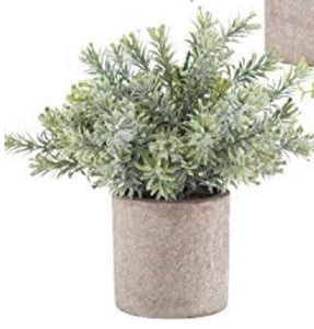 Artificial Greenery In Cement Pot