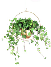 Load image into Gallery viewer, Brass Hoop Planter