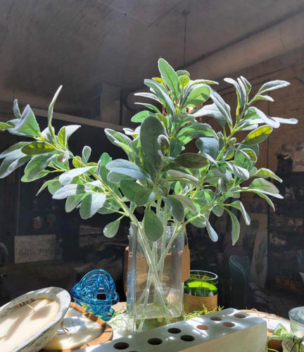 Lambs Ear In Clear Vase