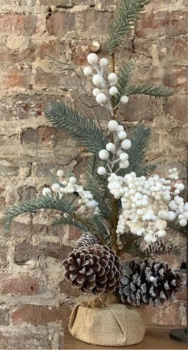 Pine Tree with Pinecones