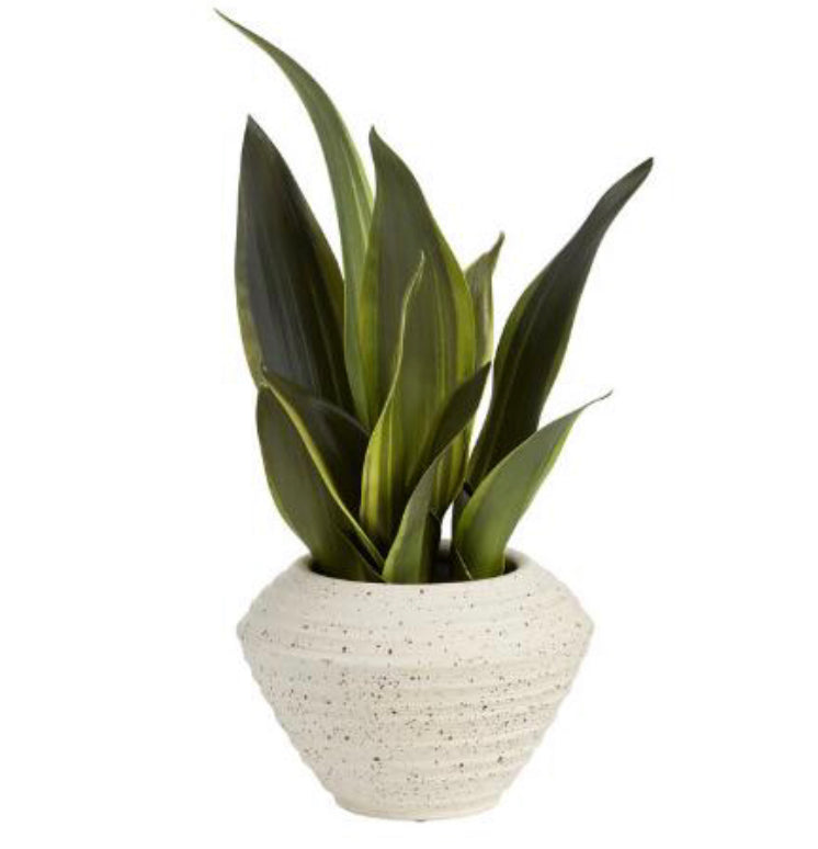 Artificial Snake Plant In White Pot
