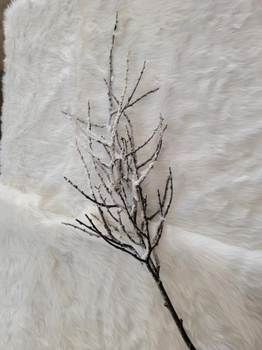Brown Twig Branch