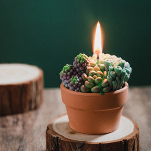 Succulent Pot Scented Candle