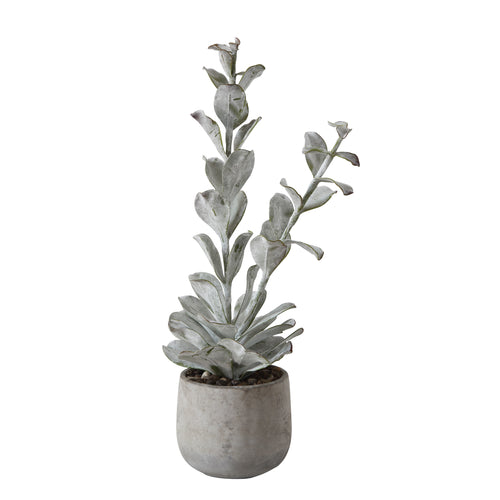 Tall Artificial Succulent Plant