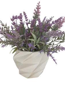 Lavender In Modern White Pot