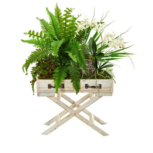 Orchid and Fern Arrangement In Drawer Planter