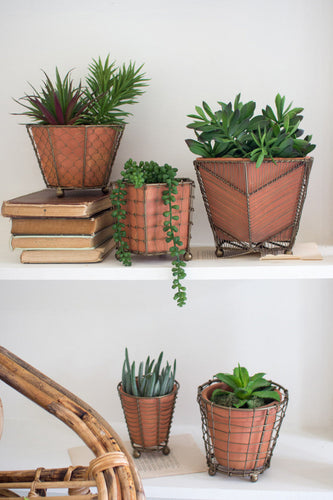 Wire Basket Planter w/ Terracotta Insert-M